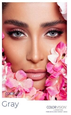 COLORVISION Gray
